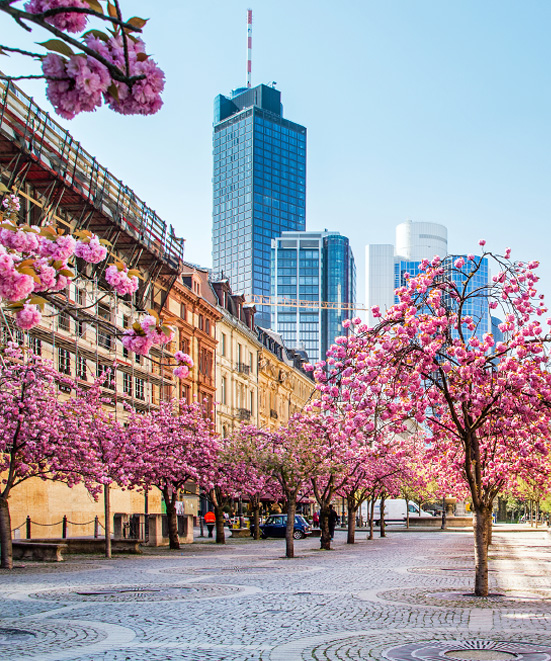 goetheplatz in frankfurt