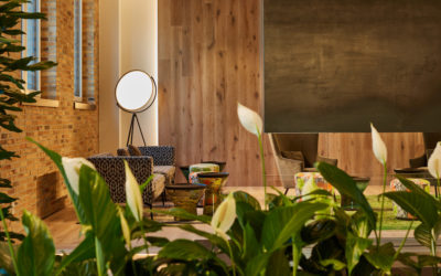 New city, your home: New opening of studiomuc in Frankfurt