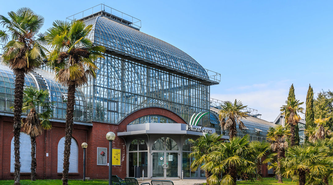 Top 3 Outdoor-Tipps für die schönste Jahreszeit in Frankfurt