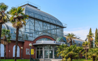 Top 3 Outdoor-Tipps für die schönste Jahreszeit in Frankfurt