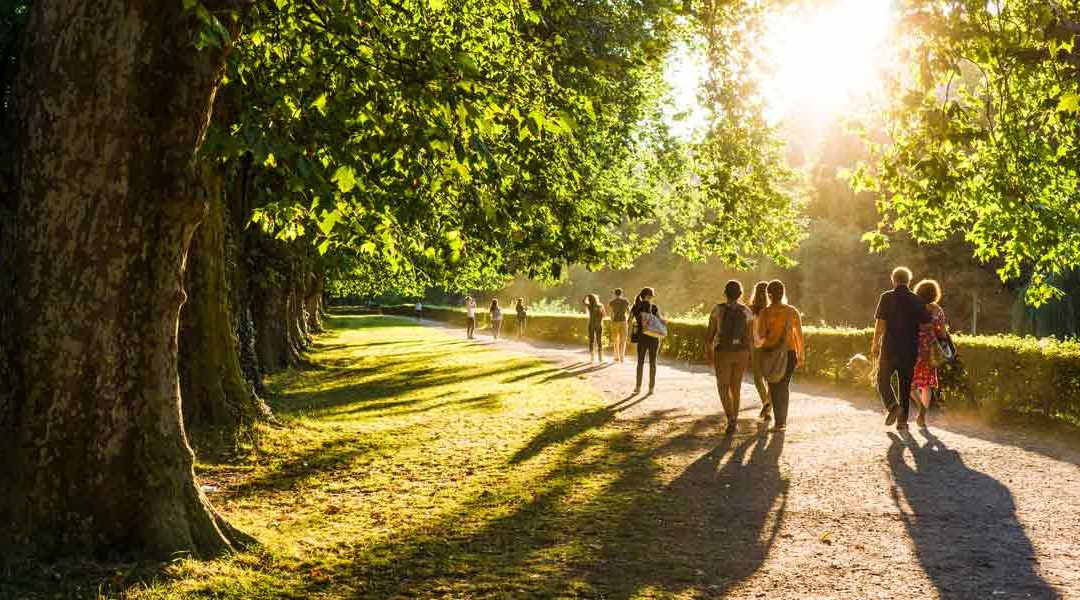 studiomuc Geheimtipps in Frankfurt: Die 3 schönsten Parks zum Entspannen und Genießen