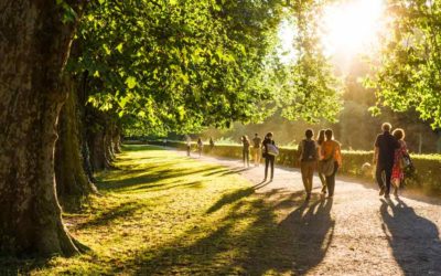 studiomuc Geheimtipps in Frankfurt: Die 3 schönsten Parks zum Entspannen und Genießen