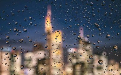 3 Schlechtwetter-Tipps: Frankfurt bei Regen erleben