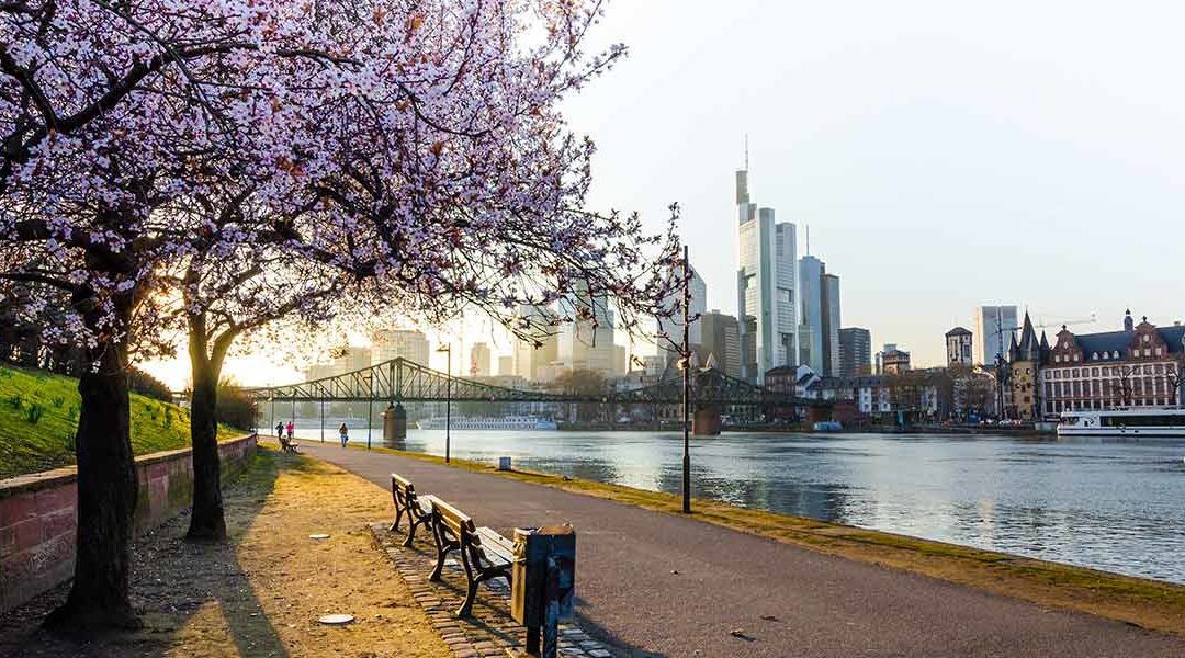 Frühling in Frankfurt: 3 Aktivitäten für die blühende Jahreszeit