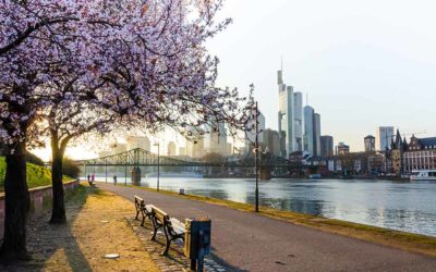 Frühling in Frankfurt: 3 Aktivitäten für die blühende Jahreszeit