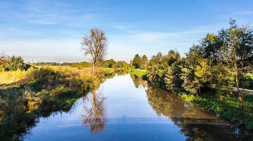 Stadt, Wasser, Auszeit: Unterwegs an Frankfurts Flüssen