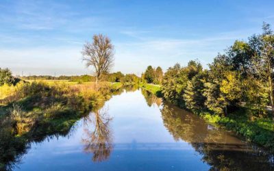 Stadt, Wasser, Auszeit: Unterwegs an Frankfurts Flüssen