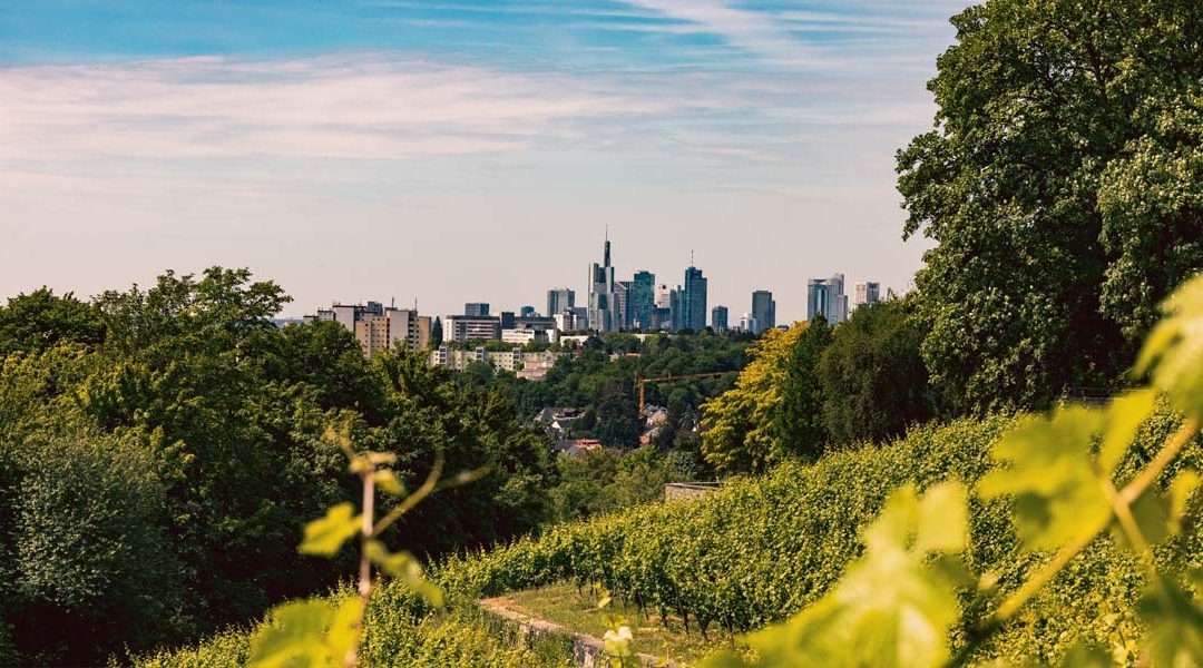 Frankfurt Bucketlist 2025 – Drei Erlebnisse, die Sie sich diesen Sommer nicht entgehen lassen sollten