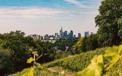 Frankfurt Bucketlist 2025 – Drei Erlebnisse, die Sie sich diesen Sommer nicht entgehen lassen sollten